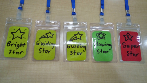 guiding-stars1