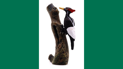 woodpecker